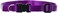 LupinePet Basics 12 Purple 1016 Adjustable Collar for Small Dogs