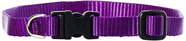 LupinePet Basics 12 Purple 1016 Adjustable Collar for Small Dogs