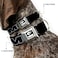 Buckle-Down BuckleDown Seatbelt Buckle Dog Collar HEMI Bold Outline BlackWhite 15 Wide Fits 1832 Neck Large