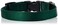 LupinePet Basics 34 Green 914 Adjustable Collar for Small Dogs