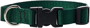 LupinePet Basics 34 Green 914 Adjustable Collar for Small Dogs
