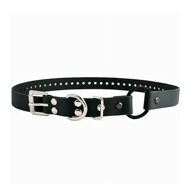 Educator Bungee Dog Collar Biothane Waterproof Odorproof Metal Buckle and D Ring with Comfort Bungee Loop Adjustable for Custom Fit 1Inch Black