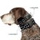 Buckle-Down BuckleDown Plastic Clip Collar Batman Shield BlackSilver 12 Wide Fits 69 Neck Small