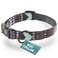 Embark Pets Embark Adventure Medium Dog Collar Stylish Durable Nylon Adjustable Comfortable Strong Buckle