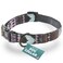 Embark Pets Embark Adventure Medium Dog Collar Stylish Durable Nylon Adjustable Comfortable Strong Buckle