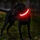 MASBRILL LED Dog CollarLight Up Dog Collars Rechargeable Waterproof Night Walking Glow Dog Collar for Small Medium Large Dogs