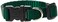 LupinePet Basics 12 Green 812 Adjustable Collar for Small Dogs