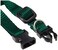 LupinePet Basics 12 Green 812 Adjustable Collar for Small Dogs