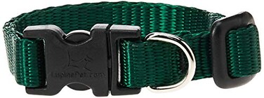 LupinePet Basics 12 Green 812 Adjustable Collar for Small Dogs