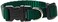 LupinePet Basics 12 Green 812 Adjustable Collar for Small Dogs