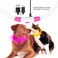 Flashseen LED Dog Collar USB Rechargeable Glowing Lighted Up Collar Cuttable WaterResistant TPU Safety Collar Lights for Small Medium Large Dogs