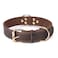 DAIHAQIKO Genuine Leather Dog Collar Heavy Duty Wide Dog Collar for Small MediumLarge and Extra Large Dog M 1 Wide for 152192 Neck Single Stitch Brown