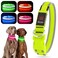 YFbrite Light up Dog Collar USB Rechargeable LED Puppy Collar Super Bright Adjustable Glowing Dog Lights for Night Walking Green Large