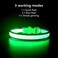 YFbrite Light up Dog Collar USB Rechargeable LED Puppy Collar Super Bright Adjustable Glowing Dog Lights for Night Walking Green Large