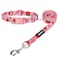 azuza Dog Collar and Leash Set Collar Nylon and Matching Leash for Small Dogs Strawberry