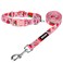 azuza Dog Collar and Leash Set Collar Nylon and Matching Leash for Small Dogs Strawberry