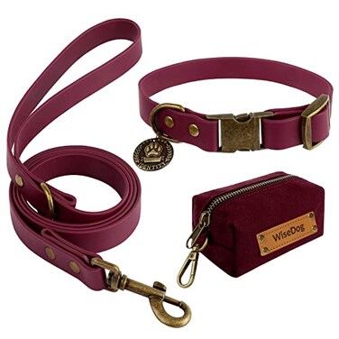 Wisedog Waterproof Dog Collar and Leash Set Adjustable Puppy Collar with Cute Tag 4FT Dog Leash with Poop Bag for Small Medium Large Dogs S Burgundy