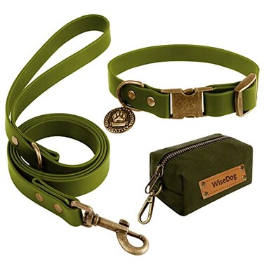 Wisedog Waterproof Dog Collar and Leash Set Adjustable Puppy Collar with Cute Tag 4FT Dog Leash with Poop Bag for Small Medium Large Dogs S Green