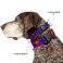 Buckle-Down DC Comics Pet Collar Dog Collar Plastic Buckle Superman Shield Stripe Red Blue 7 to 85 Inches 05 Inch Wide