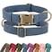 Didog Soft PU Leather Dog Collar Stylish Quick Released Dog Collars for Small Dogs Easy Clean Adjustable Pet Collar for Daily Walking Blue S Fit 1015 Neck