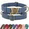 Didog Soft PU Leather Dog Collar Stylish Quick Released Dog Collars for Small Dogs Easy Clean Adjustable Pet Collar for Daily Walking Blue S Fit 1015 Neck
