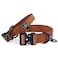 Made to ROAM Premium Dog Collar Adjustable Heavy Duty Nylon Collar with QuickRelease Metal Buckle Nevada Evening Classic Size 4