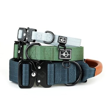 Made to ROAM Premium Explorer Control Collar Adjustable Heavy Duty Nylon Dog Collar with QuickRelease Metal Buckle and Handle Oregon Haze Control Size 5