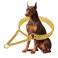 KINGOLDOGS Stainless Steel 18K Gold Dog Chain Collar Adjustable Chew Proof Cuban Link Double Row Metal Walking Collar for Large Small Medium Dogs S 12 16
