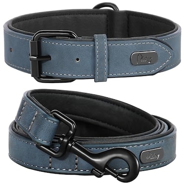 Didog Soft Padded Leather Dog Collar and Leash Set Adjustable Dog Leash and Collar Set with Metal Buckle Breathable Dog Collars with 4FT PU Leather Dog Leash for Medium Large Dogs Blue L