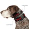 Buckle-Down Dog Collar Plastic Clip Deadpool Utility Belt Logo Pockets Black Reds Browns 9 to 15 Inches 05 Inch Wide
