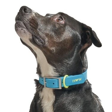 Wild One Dog Collar EasyClean All Weather FlexPoly Strap with Metal Durable Dirt and Odor Resistant Hudson XL