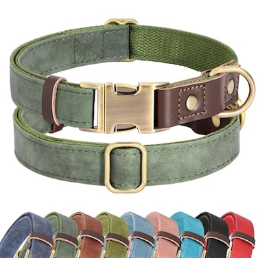 Didog Soft PU Leather Dog Collars for Small DogsClassic Adjustable Dog Collars with Quick Release Metal BuckleEasy Clean and Comfortable with Nylon LiningGreenS Neck 1115