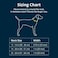 Ruffwear Front Range Dog Collar Adjustable Tubelok Webbing Lightweight Side Release Buckle Aluminum VRing Durable for Everyday Use Red Canyon 1114