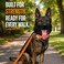 SparkDog Collars SparkDog 2 Working Dog Collar Heavy Duty 4Ply Nylon Polyester Webbing Stainless Steel Hardware Tactical Style for Pitbulls Medium Large Dogs 1420 Bright Orange 2 Width