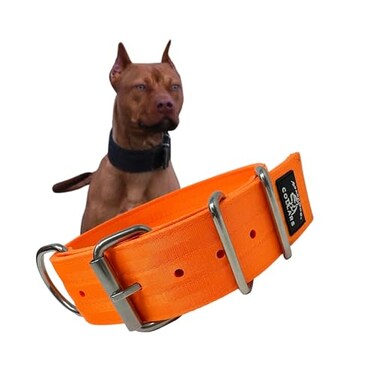 SparkDog Collars SparkDog 2 Working Dog Collar Heavy Duty 4Ply Nylon Polyester Webbing Stainless Steel Hardware Tactical Style for Pitbulls Medium Large Dogs 1420 Bright Orange 2 Width