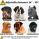ADITYNA Heavy Duty Dog Collar for ExtraLarge Dogs Camo Orange Collar with Handle for Training and Walking Wide Thick Tactical Soft Neoprene Padded