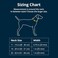 Ruffwear Crag Dog Collar Stylish Adventure Collar with Premium Reflective Design Quick Release Buckle Lightweight AllDay Comfort Rising Wave 1114