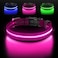 Jewyow Light up Dog Collar for Night Walking USBC Rechargeable LED Dog Collar Light Glow in the Dark Waterproof Glowing Collar Adjustable with 3 Modes for Small Medium Large Dogs