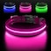 Jewyow Light up Dog Collar for Night Walking USBC Rechargeable LED Dog Collar Light Glow in the Dark Waterproof Glowing Collar Adjustable with 3 Modes for Small Medium Large Dogs