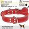 ADITYNA Heavy Duty Red Leather Dog Collar for Large Dogs Soft and Strong Leather Collar for Walking and Training