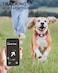 TagME Airtag Dog CollarWaterproof Reflective Pet Collar with Airtag HolderSoft Padded and Double DRings for Medium DogsHot Pink