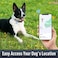 Erbine AirTag Dog Collar with AirTag Holder Compatible for Air Tag Reflective Soft Padded Safety Locking Buckle Adjustable Nylon for Small Medium Large Dogs GreyXL
