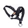 wintchuk Dog Head Collar Fabric Padded Head Collar for Dogs to Prevent Pulling Adjustable Dog Head Harness LBlack