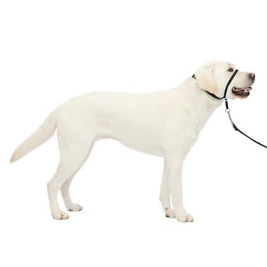 PetSafe Gentle Leader NoPull Dog Headcollar The Ultimate Solution to Pulling Redirects Your Dogs Pulling for Easier Walks Helps You Regain Control Large Black