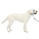PetSafe Gentle Leader NoPull Dog Headcollar The Ultimate Solution to Pulling Redirects Your Dogs Pulling for Easier Walks Helps You Regain Control Large Royal Blue