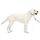 PetSafe Gentle Leader NoPull Dog Headcollar The Ultimate Solution to Pulling Redirects Your Dogs Pulling for Easier Walks Helps You Regain Control Large Fawn