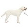 PetSafe Gentle Leader NoPull Dog Headcollar The Ultimate Solution to Pulling Redirects Your Dogs Pulling for Easier Walks Helps You Regain Control Large Fawn