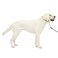 PetSafe Gentle Leader NoPull Dog Headcollar The Ultimate Solution to Pulling Redirects Your Dogs Pulling for Easier Walks Helps You Regain Control Large Fawn