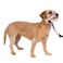 PetSafe Gentle Leader NoPull Dog Headcollar The Ultimate Solution to Pulling Redirects Your Dogs Pulling for Easier Walks Helps You Regain Control Small Deep Purple