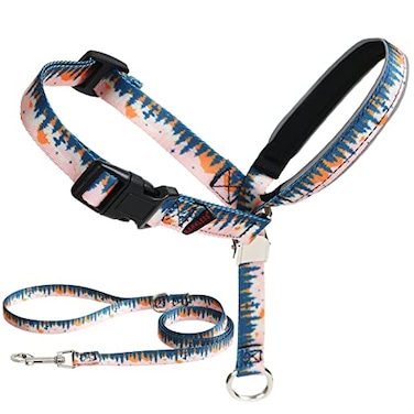 BARKLESS Dog Head Collar AntiPulling Printed Head Halter with Leash Gentle Snout Harness with Adjustable Clip for Small Medium and Large Dogs Leash Training